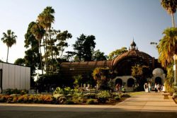 julieparkphotography:  Balboa Park