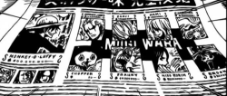 ankogos:  I wonder if Luffy and Chopper saw