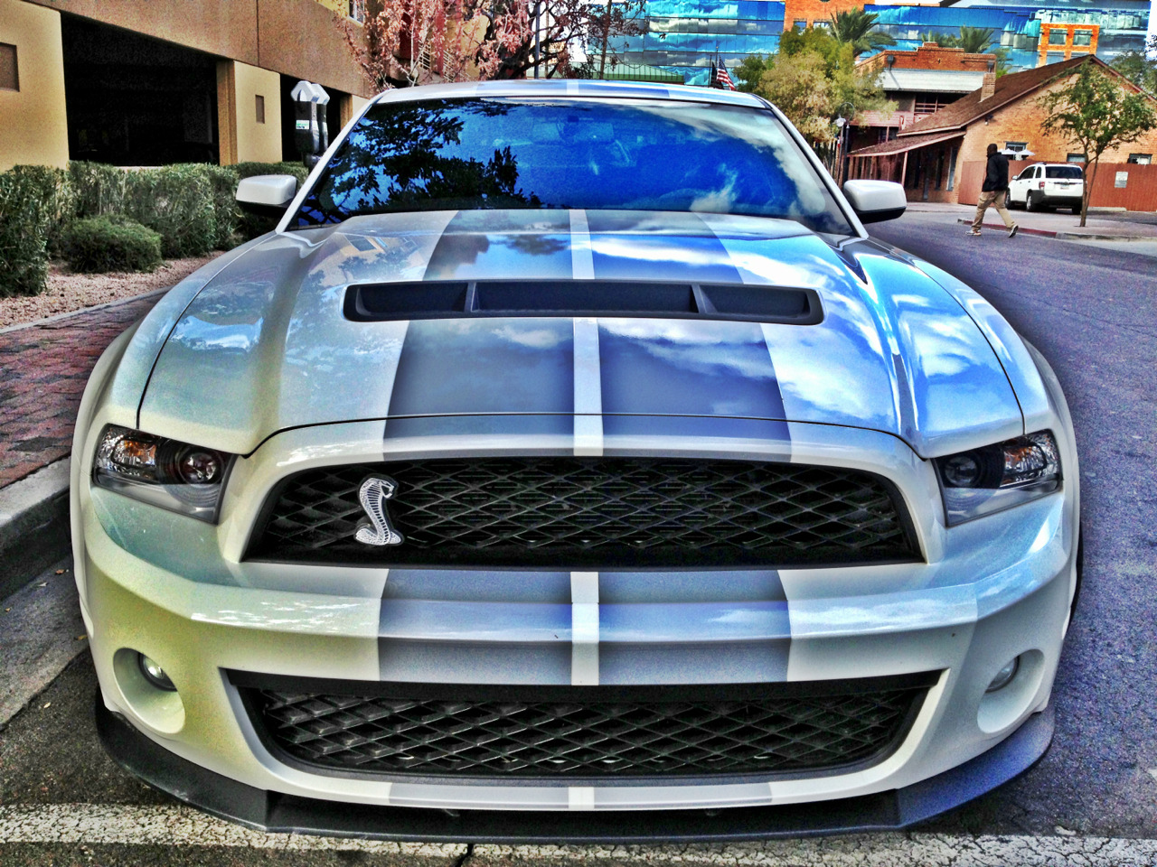 Ford Mustangs