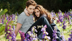 iamkinoeye:  Film Review: The Twilight Saga: