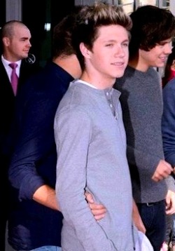 criminiallar:  niall’s waist + his bandmates’ hands 