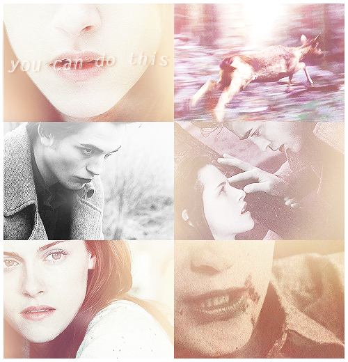 suchakrisbian-blog:  AU in which Edward is a nomad and Bella is a “vegetarian”