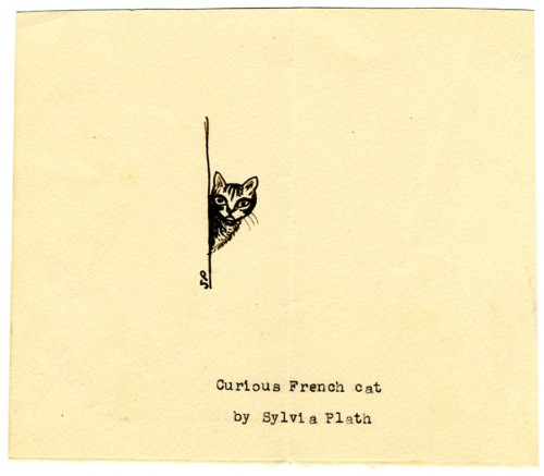 baldespendus: “Curious French Cat”, drawing by Sylvia Plath.