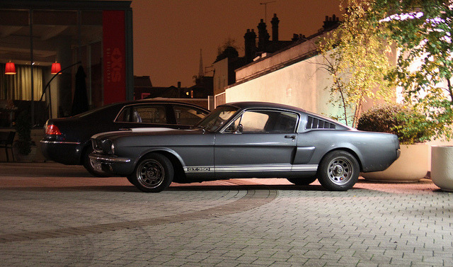 Ford Mustangs