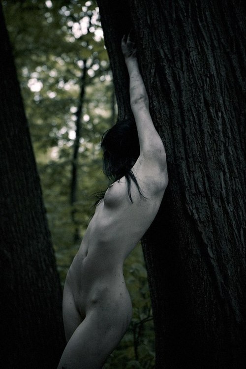 wheretheslimelive:  baphovomit:  forever reblog  My sentiments exactly.