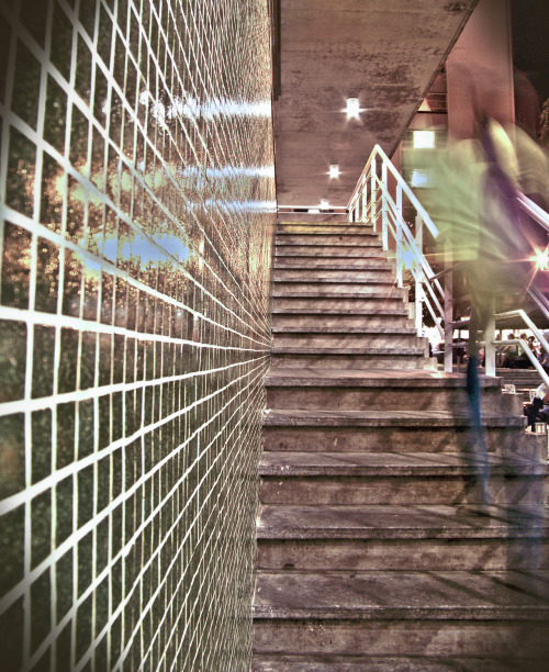 Serie En Movimiento