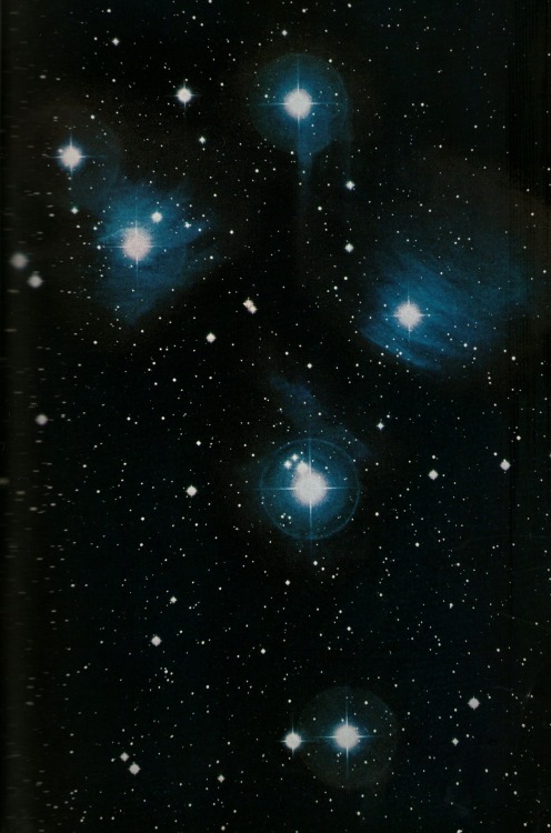 deepspacelove: The Pleiades