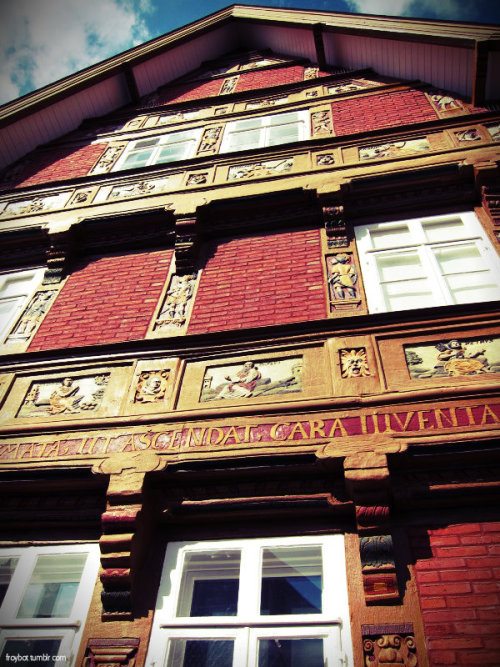 froybot:The old Latin School in Alfeld, DE (ca 1610), covered in more than 100 carvings depicting hu