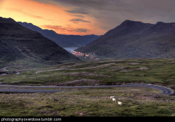 godtricksterloki:  photographyoverdose:  A lovely icelandic sunsetmore photography here  That is beautiful!