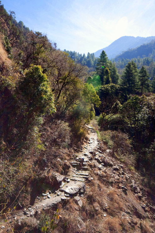 Trail to Sing Gompa, Rasuwa, Nepal. Photography by BrookR