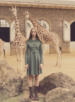 bienenkiste:  Codie Young by Venetia Scott for Orla Kiely F/W 2011 