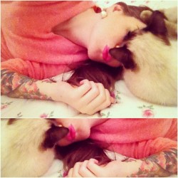 immaxdarling:  Paw on my head, kissing my