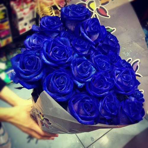 coisasdabea:  Meu sonho é ganhar um buquê de rosas azuis. 