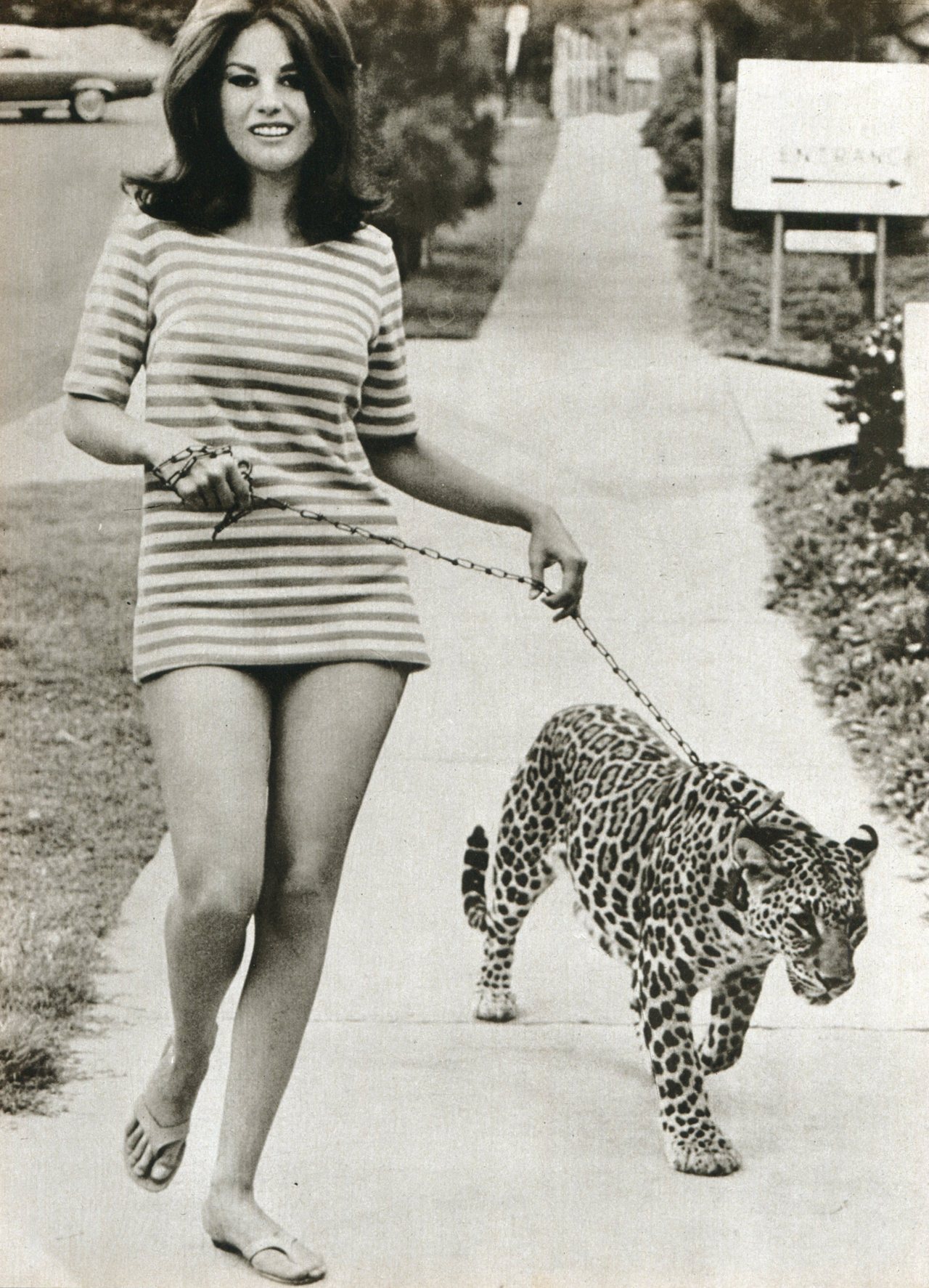 theladymisskier:  keepin my cool in the heatwave…..like Lana Wood do….Lady Miss