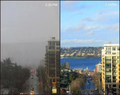 Only in Washington.