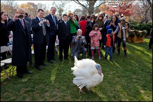 Happy Thanksgiving from the Young Professional Advocate!