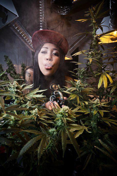 Into A Stoner's Mind!