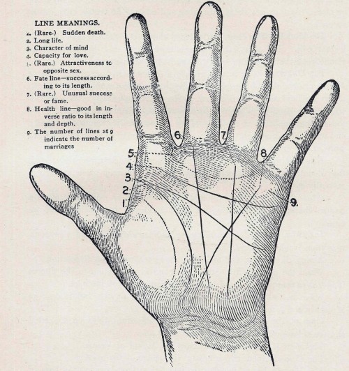 faehry:  youthfairy:  exhali:  nevver:  Palmistry  oh i’m glad of mine  I got 2 and 4 haha wow