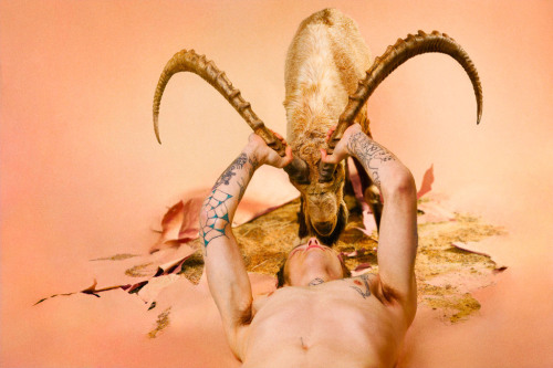 likeafieldmouse:  Ryan McGinley - Animals adult photos