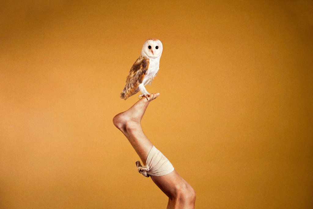 likeafieldmouse:  Ryan McGinley - Animals (2012) 1. Peacock (Rose Quartz) 2. Ibex