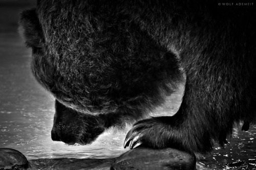 photos by Wolf Ademeit.