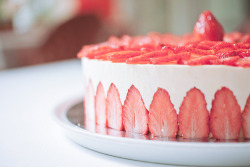  Opera Strawberry Fraisier  