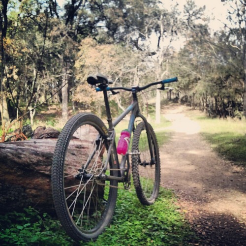 horriblechildren: Im kind of no good at remembering tumblr….Texas is pretty but damn I miss Tucsonht