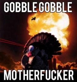 lawl XDat least i saved one turkey this year. 