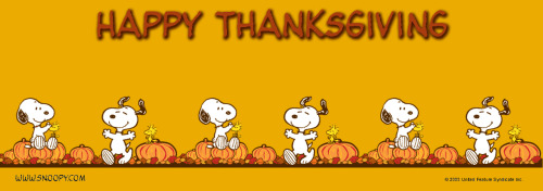 youbetyourlife:  I am so thankful for all of you :)