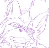 justasolitarywolf:  wulphire:  justasolitarywolf:  wulphire:  justasolitarywolf: