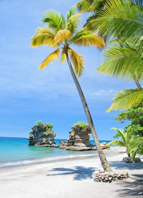 bountybeaches:  St. Lucia, West Indies