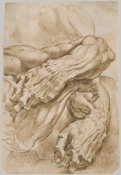 drawpaintprint:  Peter Paul Rubens (Flemish, 1577–1640): Anatomical Studies: A Left Forearm in Two Positions and a Right Forearm, 1600–1608Drawing, pen and brown ink 10 15/16 x 7 5/16 in. (27.8 x 18.6 cm) 