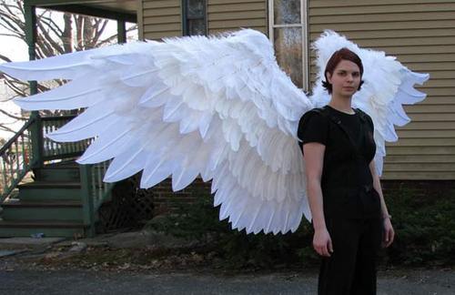 fuck yeah, hard femme!: Wing Tutorial Masterlist
