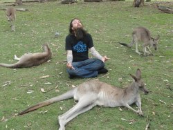 craiginsideyourhell:  This appears to be Brian from Eyehategod meditating with some kangaroos… 