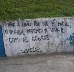 Hoje o sofrimento virou poesia