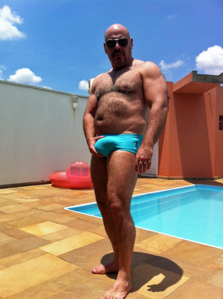 Speedo Bears