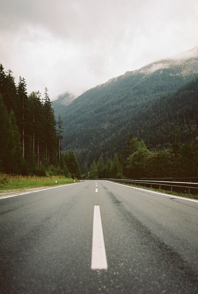 nnyctophobia:  ☯grunge/vintage/nature☯
