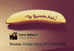  harry + bananas 