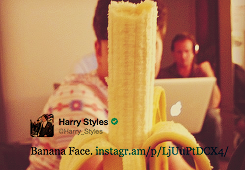  harry + bananas 