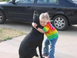 l0ve-niall:  “Our 14-year-old dog Abbey died last month. The day after she passed away my 4-year-old daughter Meredith was crying and talking about how much she missed Abbey. She asked if we could write a letter to God so that when Abbey got to heaven,