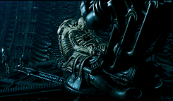 Sex scullymd:   Gorgeous Cinematography → Alien pictures