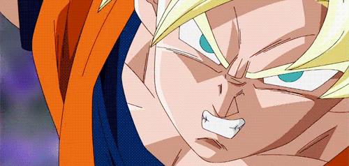 Tenkaichi Budokai