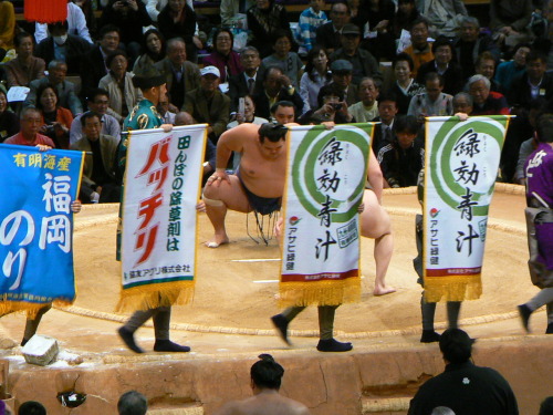 We went to watch sumo game at Fukuoka kokusai center.  There are 6 sumo tournament in a year. 3 time