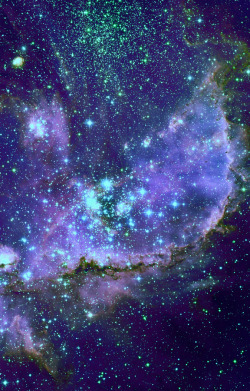 stellar-indulgence:  NGC 346 (in the Small Magellanic Cloud)  An open cluster and emission nebula in Tucana. Apparent size 14 by 11 arcmin. The largest emission nebula in the Small Magellanic Cloud. 