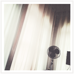 kingnabokov:   Niall Horan Instagram x  