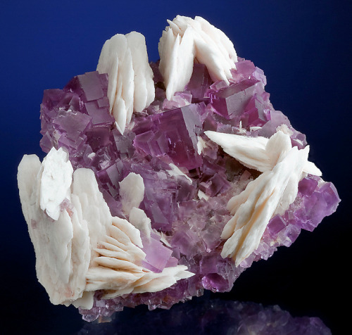 crystal-porn:Fluorite with blades of white Barite