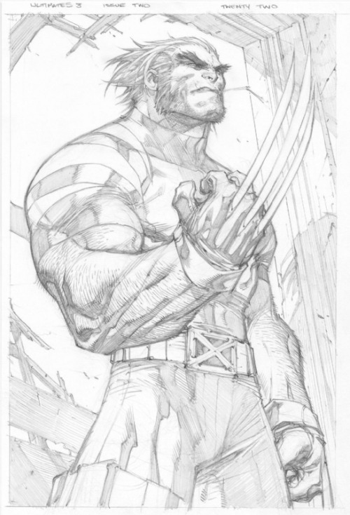 Porn Pics thezodiack:  Ultimate Wolverine; by Joe Madureira