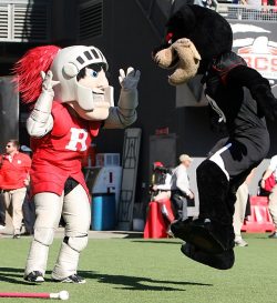 Siphotos:  The Mascots Of Rutgers And Cincinnati Face Off During A Game At Nippert