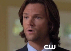 audreyii-fic:  fangrrrling:  teaandchess:  mishaswhore:  castielpoops:  canonsunkmyship-blog: Dean and Sam mildly shocked at the polygamous wife and then there’s Cas  YOU CAN JUST SEE THE LIGHT BULB FLICK ON  I CAN HAVE DEAN AND SAM  And if I find Meg…
