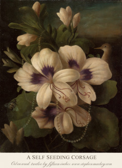 stephenmackey: A Self Seeding Corsage ‘Oil on Wood, twelve by fifteen inches’ stephenmackey.com / ingofincke.com 